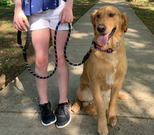 Load image into Gallery viewer, DURABLE 5 FT LEASH with COMFORT HANDLE