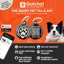 Load image into Gallery viewer, MYKONOS Max &amp; Molly Urban Pets Smart ID Dog Collar - Soft Neoprene, QR Tag (NEW)
