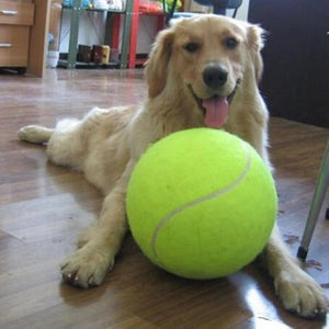 JUMBO TENNIS BALL ~ a new favorite for your dog!